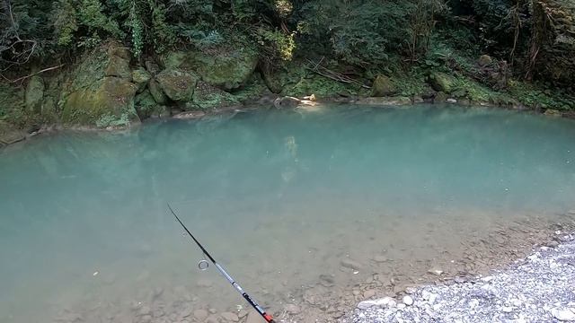 Мой новый стримовый спиннинг | Голавль на малой реке смотреть онлайн