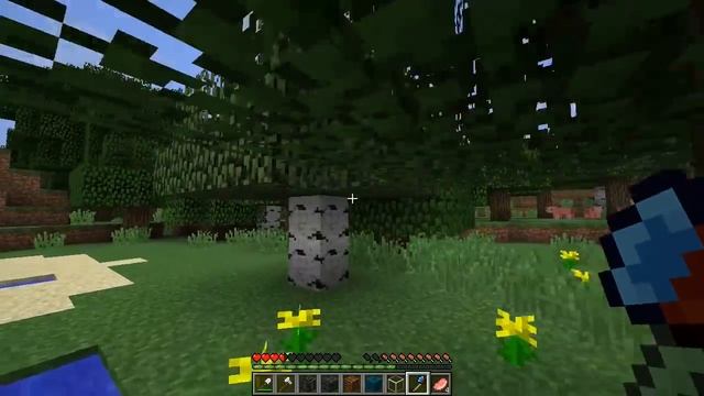 НОВЫЕ СУПЕР ИНСТРУМЕНТЫ МОД В МАЙНКРАФТ 2017 смотреть онлайн