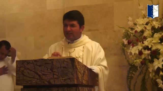 Divina Eucaristía - Solemnidad del Sagrado Corazón de Jesús 19/06/20 07:30 pm смотреть онлайн