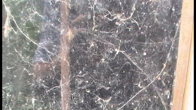 Дом №39 смотреть онлайн