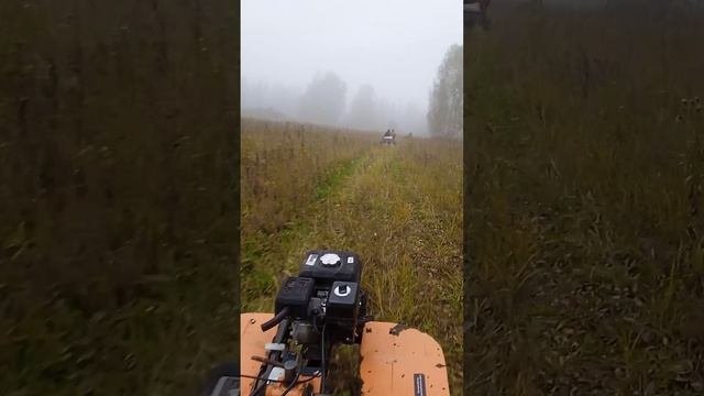 Закрепление осенней рыбалки 2023