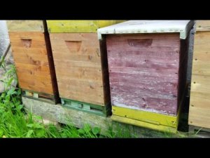 Про украинскую рамку, и про ос. ))