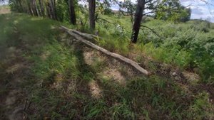 15 | Проект Аренда пруда | Новости с водоёма