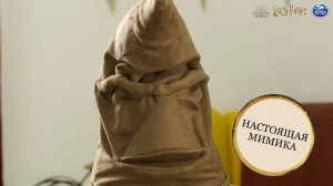 Интерактивная распределяющая шляпа на русском/6063719/Wizarding World/Sorting hat