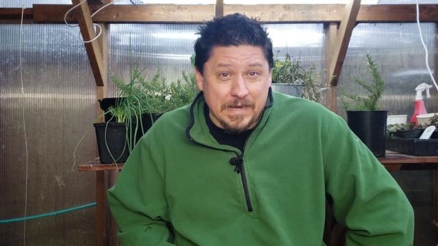 Direct Seeding Vs Starter Plants - A Beginners Guide On How To Plant Your First Garden