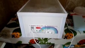 Обзор инкубатора Блиц ПК