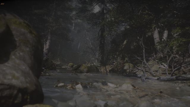 Black Myth: Wukong Benchmark Tool тест 1