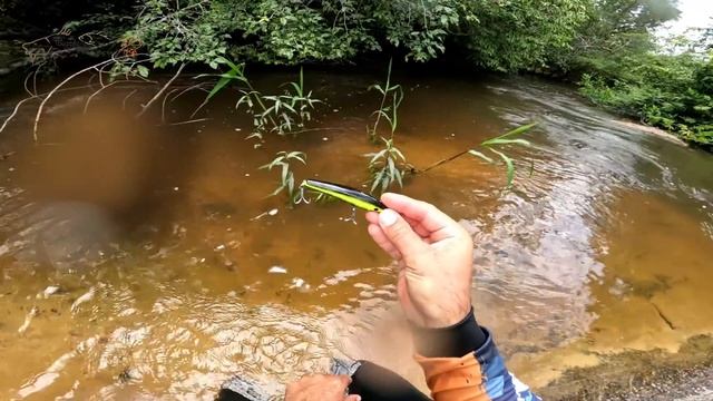 FRIO NA BARRIGA! BICHO VEIO PRA CIMA DO CAIAQUE E GRUDOU NA MINHA PERNA! Pescaria. смотреть онлайн