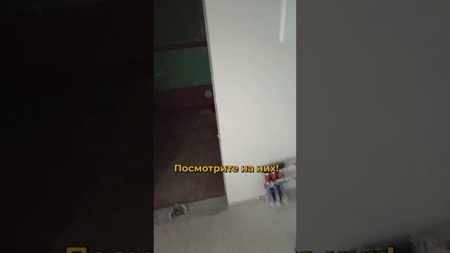 Мы готовы помочь вам с приемкой квартиры и юридическим сопровождением, чтобы вы могли наслаждатьс...