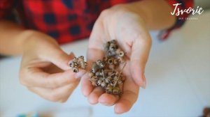 Делаем простые и красивые цветы из шишек / DIY TSVORIC