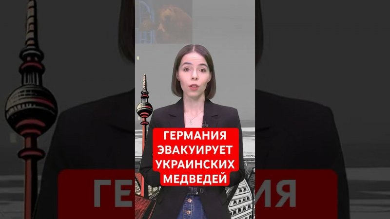 Украинский медведь переехал в Германию #папочкаканцлера #новости #германия #животные