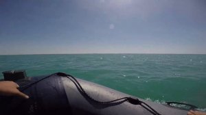 Бокальская коса