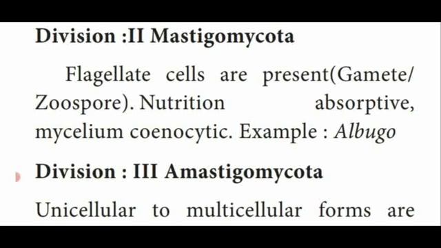 XIstd/Bot/Ch:1/Living world/part15 смотреть онлайн