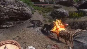 The Elder Scrolls V: Skyrim (2013) [Ru] Mod Mitradis [SLMP-GR 3.3 Final]