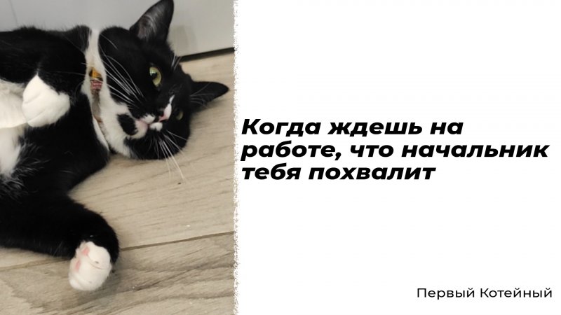 Когда ждешь на работе, что начальник тебя похвалит ?