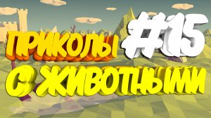 Приколы с животными | Приколы угары | Засмеялся подписался #15