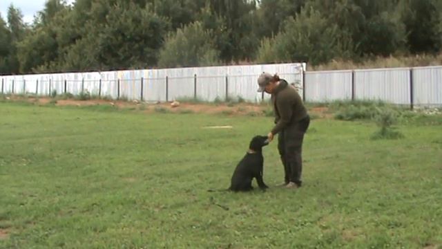 ДЦ *ZооИмперия* г.Ярославль смотреть онлайн