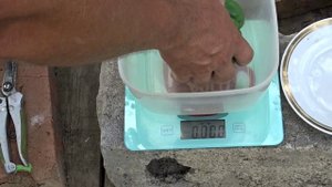 Перец Гриль Бомба F1