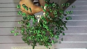 DIY Дерево из бисера. БЕРЕЗКА (мастер-класс)