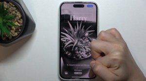 iPhone 15 | Как добавить фото контакту на iPhone 15 - Аватарка для контакта iPhone 15
