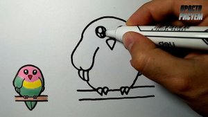 Как нарисовать МИЛОГО ПОПУГАЯ ПРОСТО, Рисунки для детей и начинающих