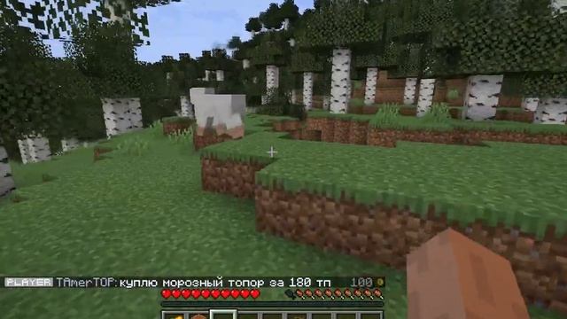 играем на сервере бискаса в майнкрафт