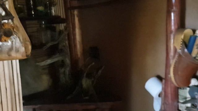 Новоселье грача. смотреть онлайн