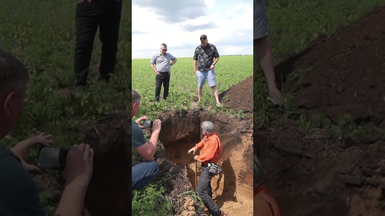 Почвенный разрез: почему надо копать глубже? (Часть 1) #точноеземледелие #сельскоехозяйство #farming