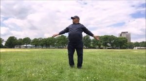 Tai Chi. Ba Duan Jin. Китайская гимнастика 8 кусков парчи