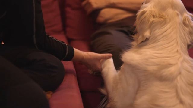 И пошли они в баню... смотреть онлайн