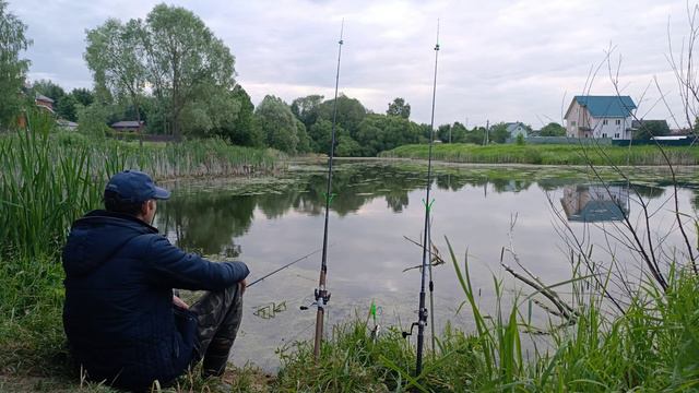 Карасёвая Рыбалка на Фидер #фидер #поклевка #природа #карась смотреть онлайн