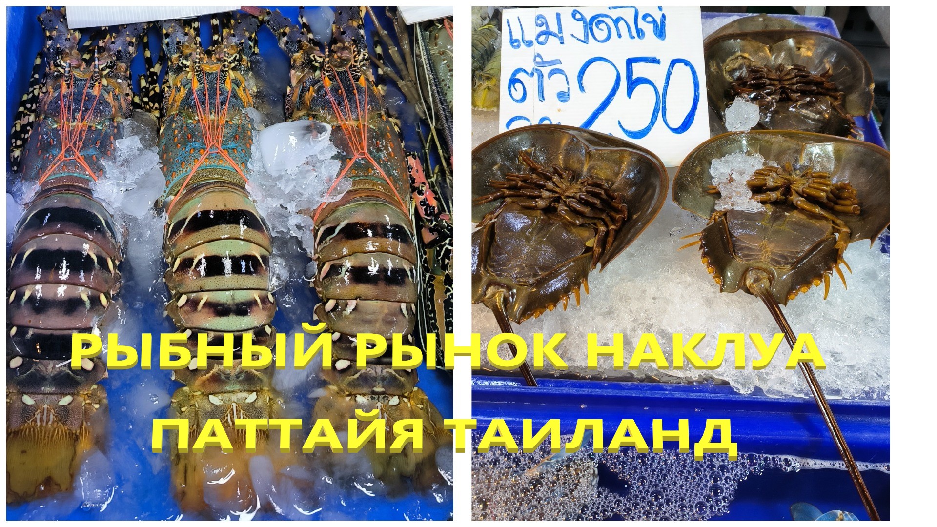 Рыбный рынок Наклуа. Паттайя. Таиланд.