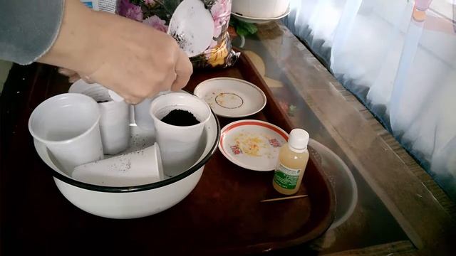 Перчик декоративный, комнатный. .Сеем семена. смотреть онлайн