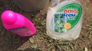 Химчистка авто