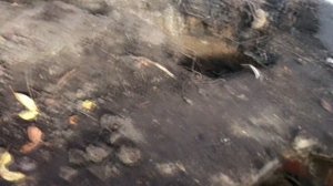 Наружная канализация в частном доме