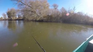 Судак и жерех на спиннинг. Рыбалка в ноябре на нижней Волге.