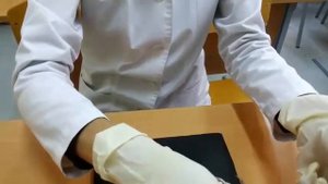 Приготовление нервно-мышечного препарата | Жүйке-ет препаратын дайындау