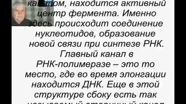 Молекулярная биология. Транскрипция.