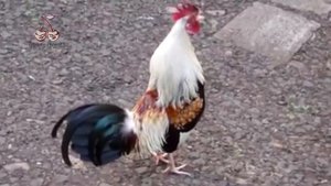 Ghostbusters but sounds like animals