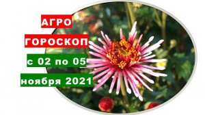 Агрогороскоп с 02 по 05 ноября 2021 года