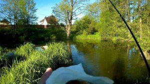 Мормышинг ! Первая рыбалка на OCTOPUS 6 ! Спиннинг тест прошел !!