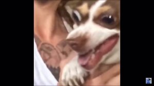 Mr Bubz (content aware scale)