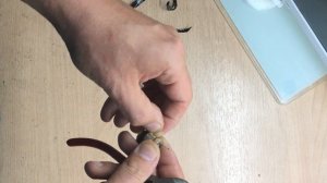 Ремонт старого кинескопного телевизора Erisson S14, у которого пропало изображение.