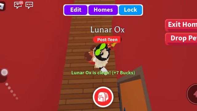 Прокачиваю пета для неон смотреть онлайн