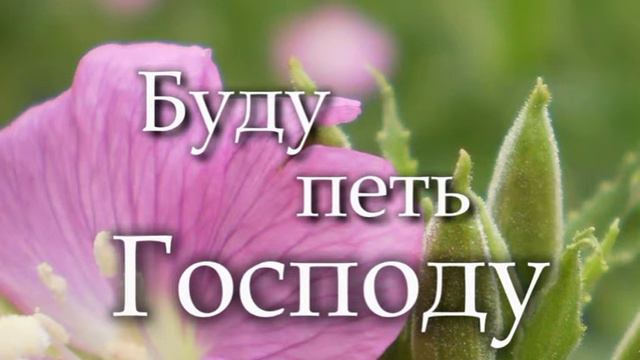 Буду петь Господу во всю жизнь мою ( благослови душа моя Господа ) смотреть онлайн