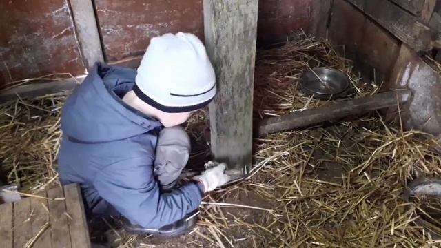 Сарай для коз строит маленький мальчик.
