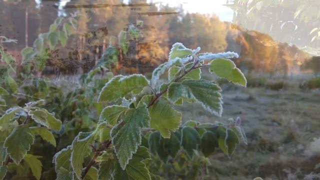 Покров смотреть онлайн