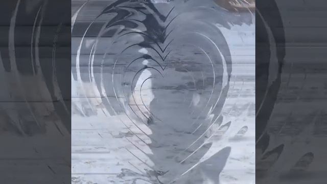 ФОТО МАКС САО 4-5 месяцев смотреть онлайн