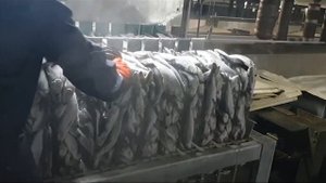 Выпуск мороженой сельди на плавбазе ВЛАДИВОСТОК 2000