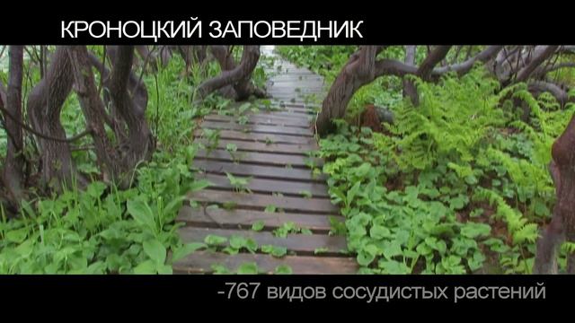 Дикая природа Камчатки - Кроноцкий заповедник смотреть онлайн